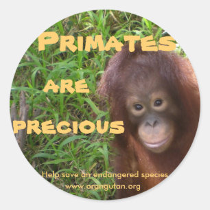 Primates are Precious Classic Round Sticker