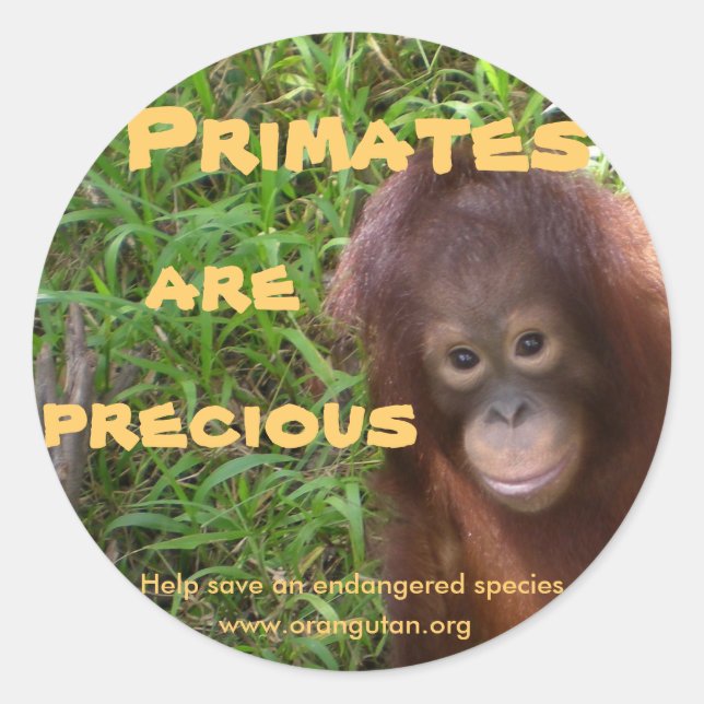 Primates are Precious Classic Round Sticker (Front)