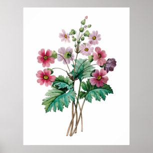 Primavera Poster