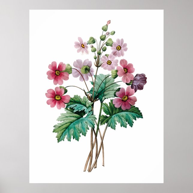 Primavera Poster (Front)