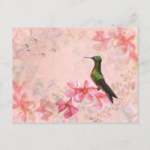 Primavera Rosa Postcard