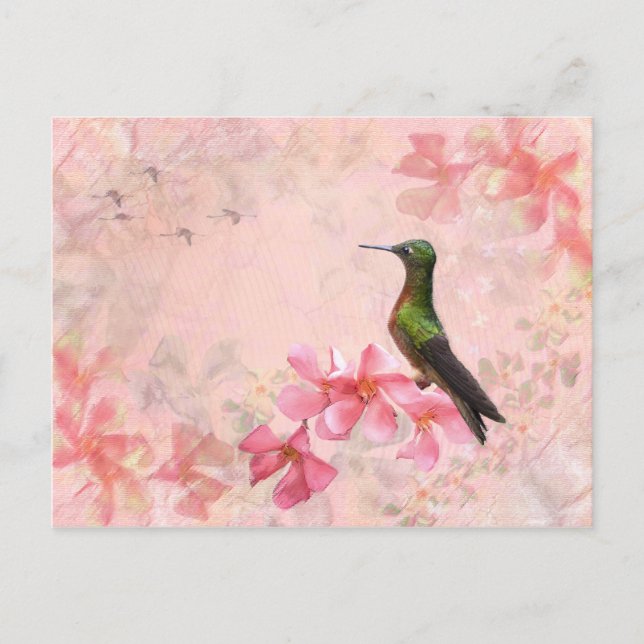 Primavera Rosa Postcard (Front)