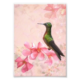 Primavera Rosa Print