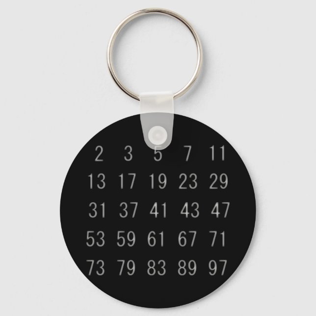 Prime Number Mathematics Mathematician Key Chain (Front)