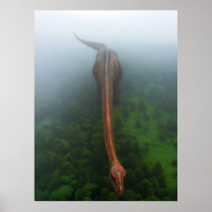 Primeval Forest Aerial Photography Poster