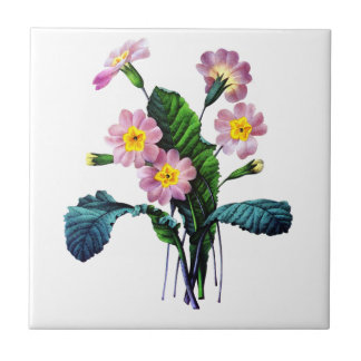 Primevere or Primroses by Pierre Joseph Redoute Tile