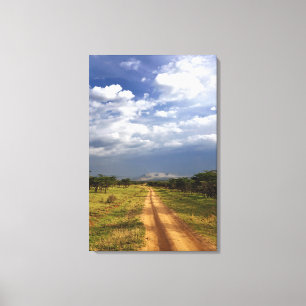 Primitive dirt road across the northern canvas print