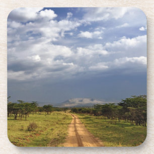 Primitive dirt road across the northern coaster
