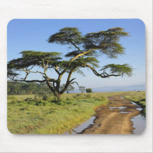 Primitive dirt road and acacia tree, Lake Nakuru Mouse Mat