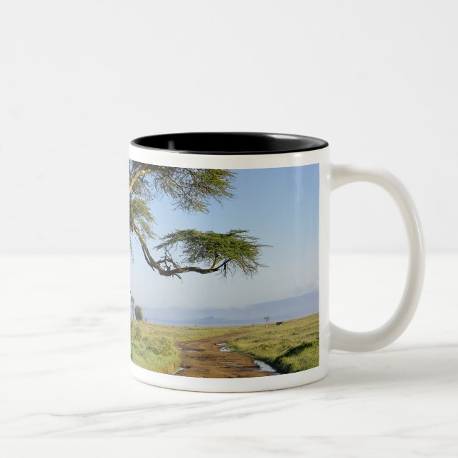 Primitive dirt road and acacia tree, Lake Nakuru Two-Tone Coffee Mug (Right)