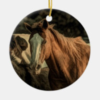 Primitive rustic western country wild horse