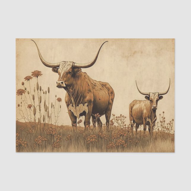 Primitive Texas Longhorns Tissue Paper (Front)