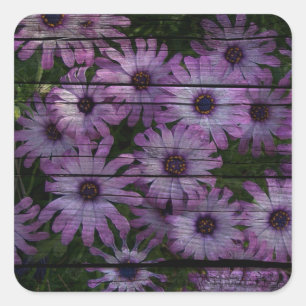 Primitive Western Country Barn plank purple daisy Square Sticker