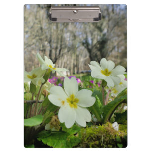 Primrose Clipboard