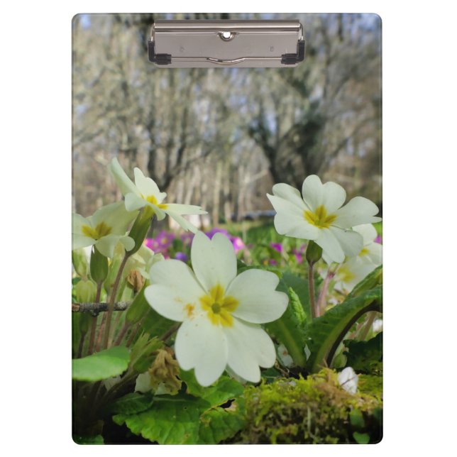Primrose Clipboard (Front)