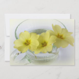 primrose in a coffee cup