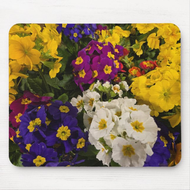 Primrose Mouse Mat (Front)