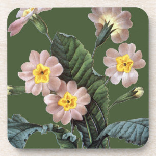 Primrose (Primula Aucalis) Coaster