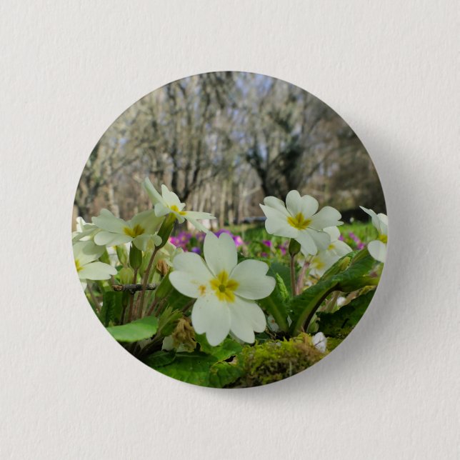 Primrose (Primula vulgaris) Badge (Front)