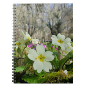 Primrose Spiral Notebook