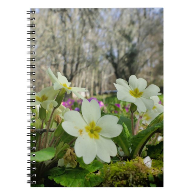 Primrose Spiral Notebook (Front)