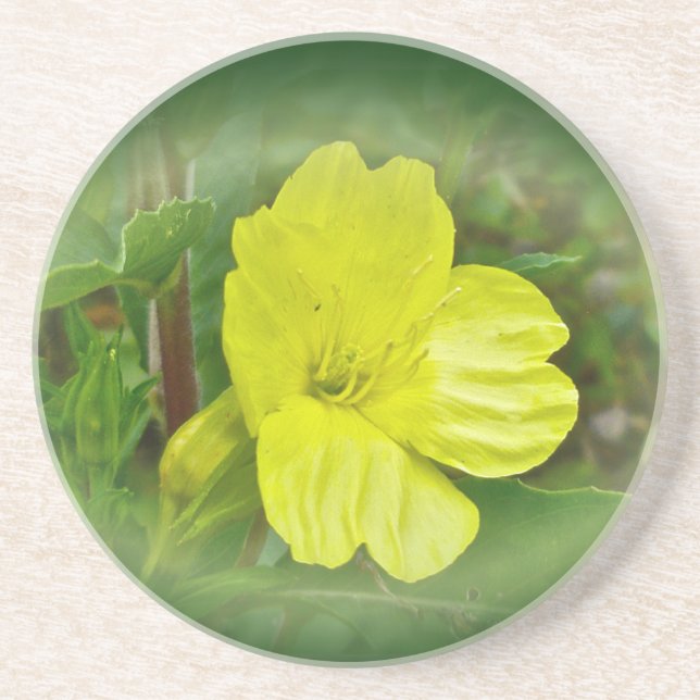 Primrose Yellow Wildflower Coordinating Items Coaster (Front)