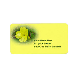 Primrose Yellow Wildflower Coordinating Items Label