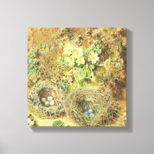 Primroses and Birds' Nests Canvas Print (Front)
