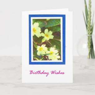 Primroses Birthday Card