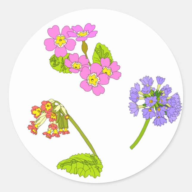 Primroses Classic Round Sticker (Front)