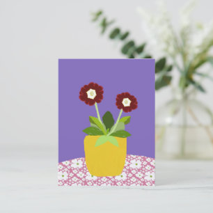 Primula aricula Postcard