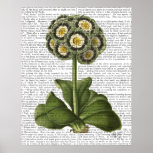 Primula Auricula Blue Poster