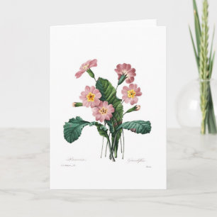Primula Card