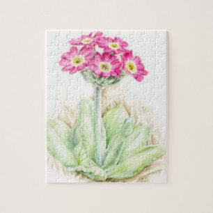 Primula pink watercolor art jigsaw puzzle