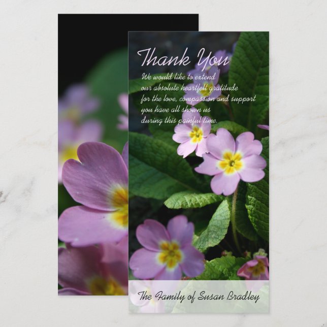 Primula Spring Flowers 2 Sympathy Thank You Card (Front/Back)