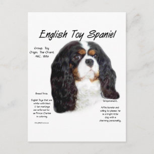 Prince Charles English Toy Spaniel History  Postcard