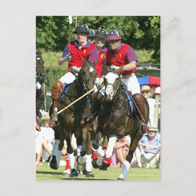 Prince Charles William Harry polo Postcard (Front)