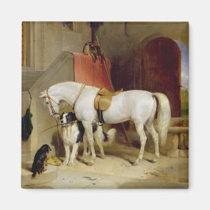 Prince George's Favourites (oil on canvas) Magnet