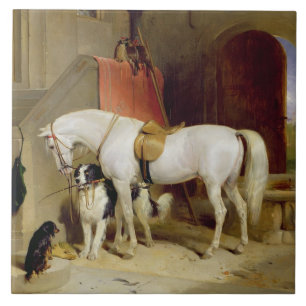 Prince George's Favourites (oil on canvas) Tile