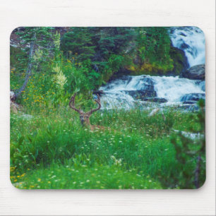 Prince of the Forest Mouse Mat