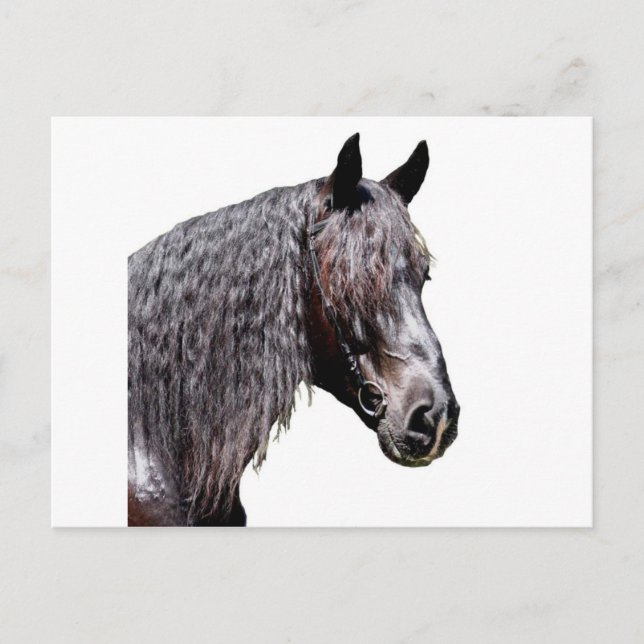 Prince Postcard (Front)