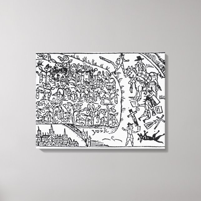 Prince Rupert  Hiding in a Bean Canvas Print (Front)