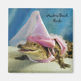 princess alligator magnet