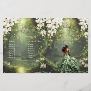 Princess and Frog Sage Green Quinceanera Program