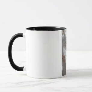 Princess and White Dragon Mug - Royal Fantasy Cera