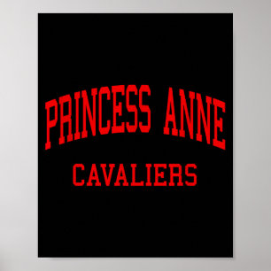 Princess anne high school hs virginia beach va poster