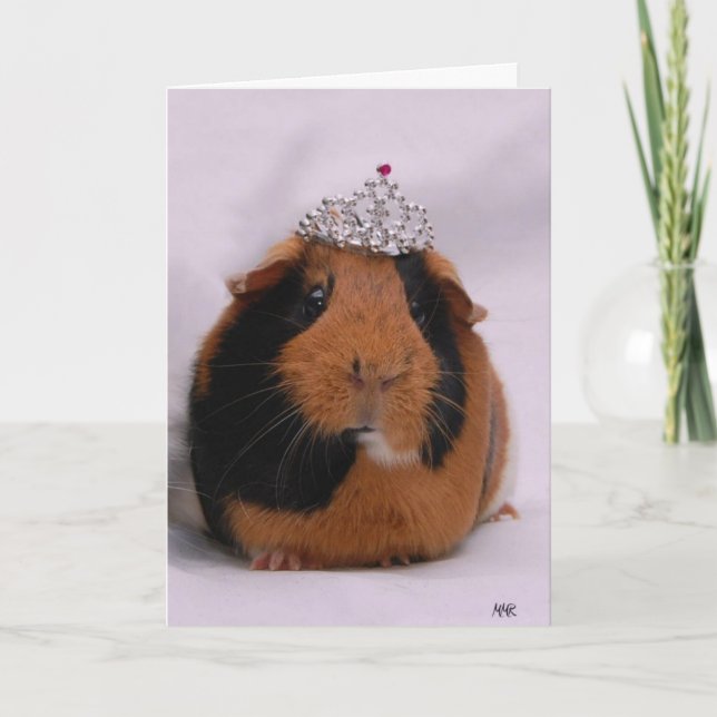 Princess Birthday Card (Front)