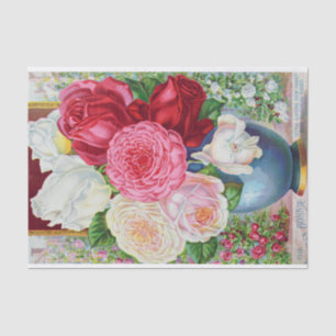 Princess Bonnie and Hardy Roses Antique Print Tissue Paper