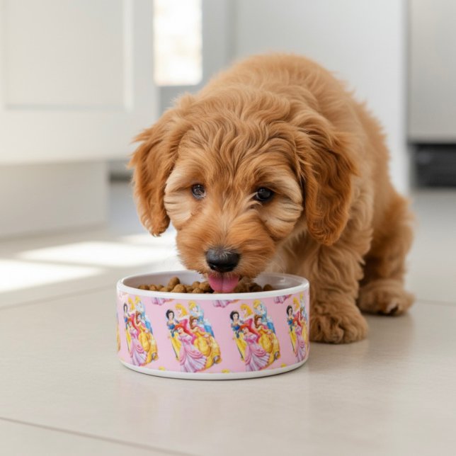 Princess Bowl (Creator Uploaded)