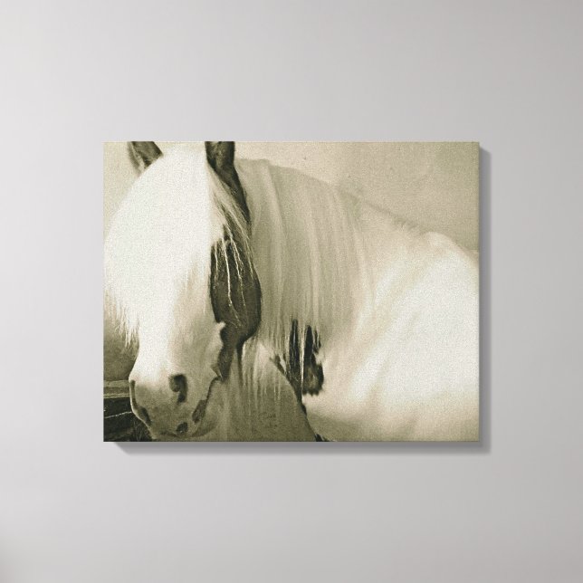 Princess Canvas Print (Front)
